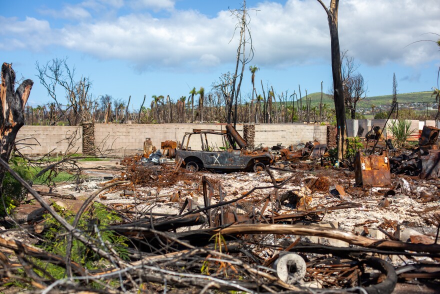 Hundreds of students were affected by a devastating wildfire in Lahaina, HI in August 2023. The University of Hawai'i Maui College gave affected students emergency funds immediately.