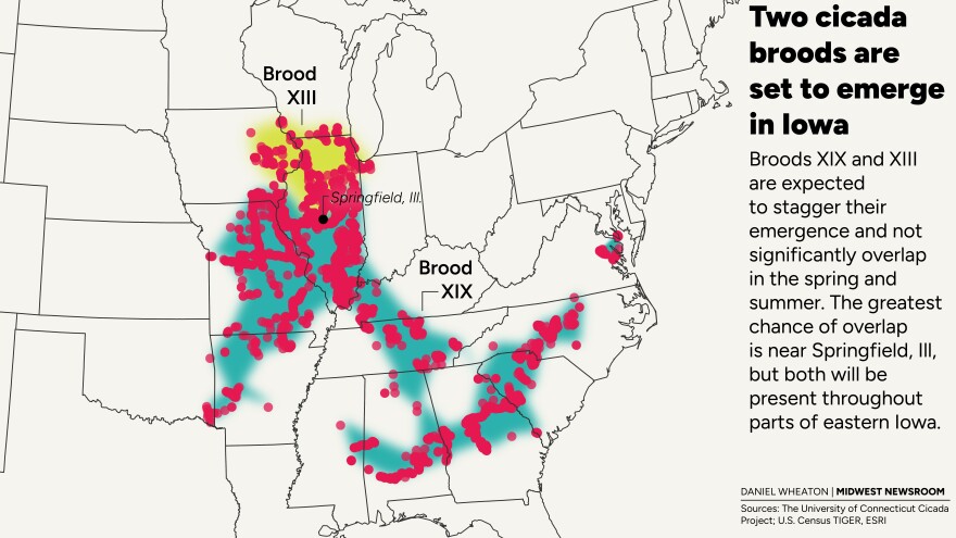 A map detailing the locations of cicada broods XIII and XIX.