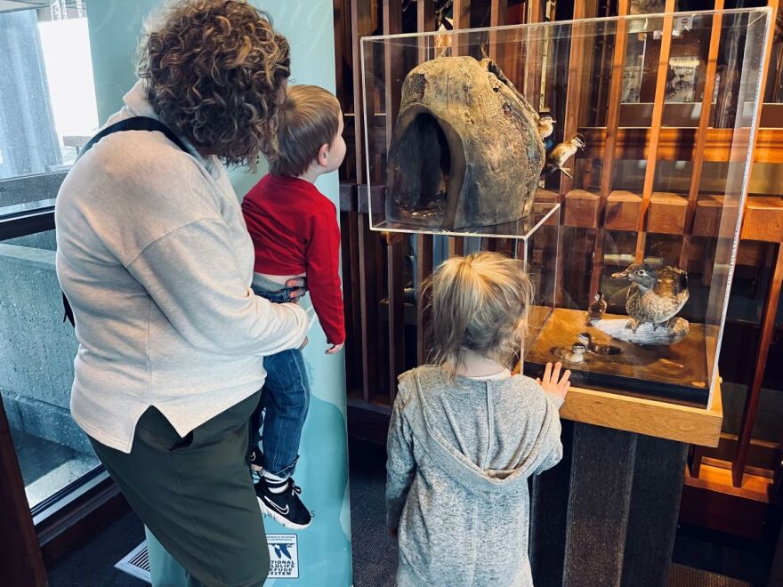 A woman and two children look at a duck display.