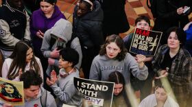 students rally in the iowa capitol against gun violence