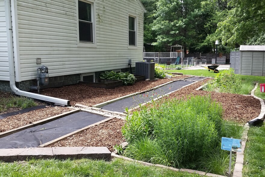 The downspout from a house runs into a gravel channel connected to a grassy, green garden bed lined with light colored stones. 