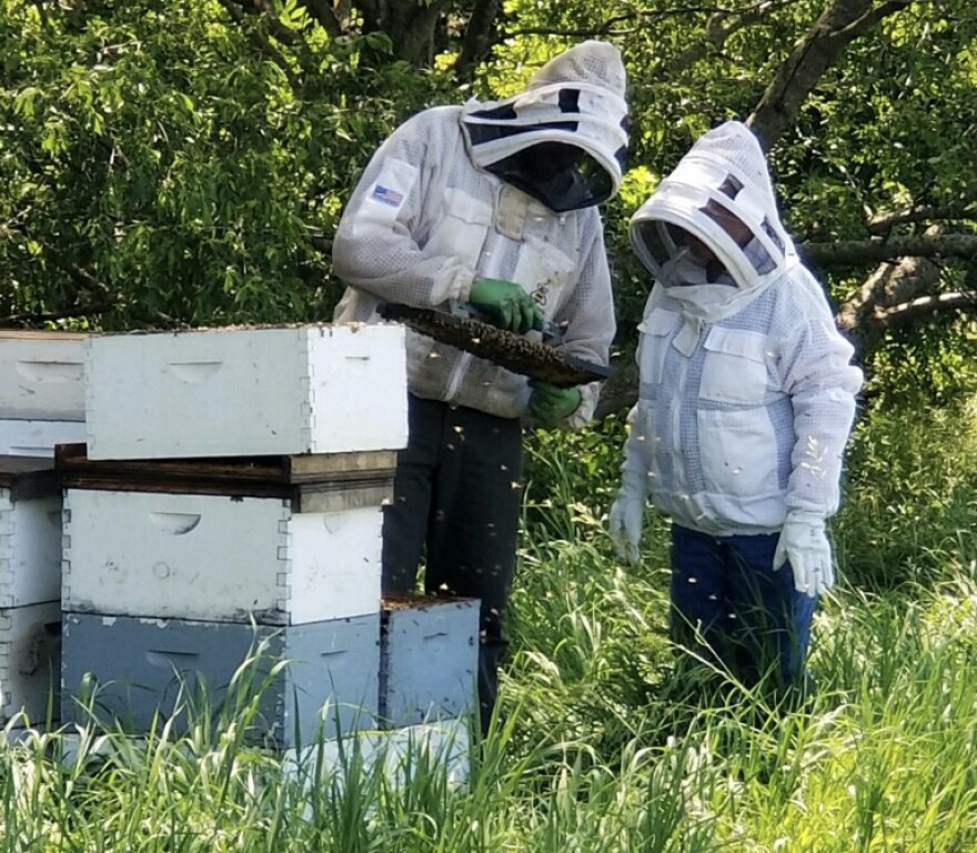 Two beekeepers in protective gear stand by a stack of crates as bees fly around them. 