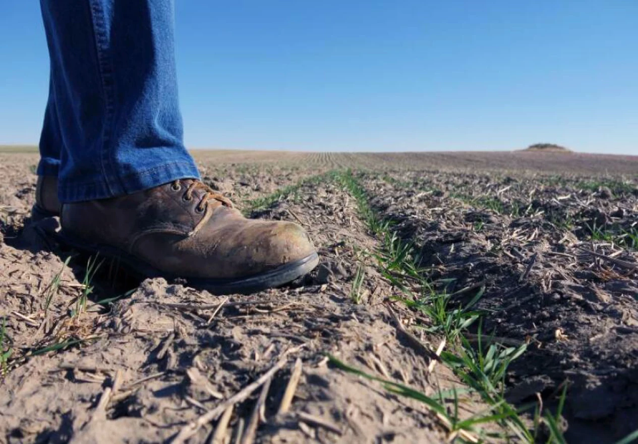 Finding affordable land is the top challenge for young farmers, according to the 2022 National Young Farmer Survey.