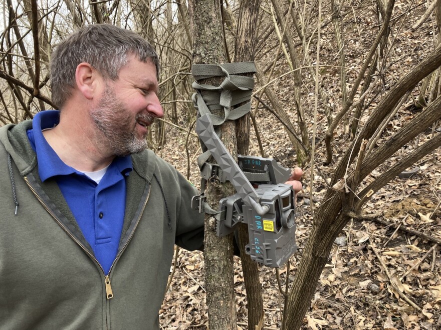 Dave Hoffman, a wildlife technician with Iowa Department of Natural Resources, adjusts a trail camera near a gray fox den site in Keokuk. He says the camera has captured images of other wildlife, including racoons, coyotes, a red fox and an opossum, and he suspects that they evict the gray fox at times.