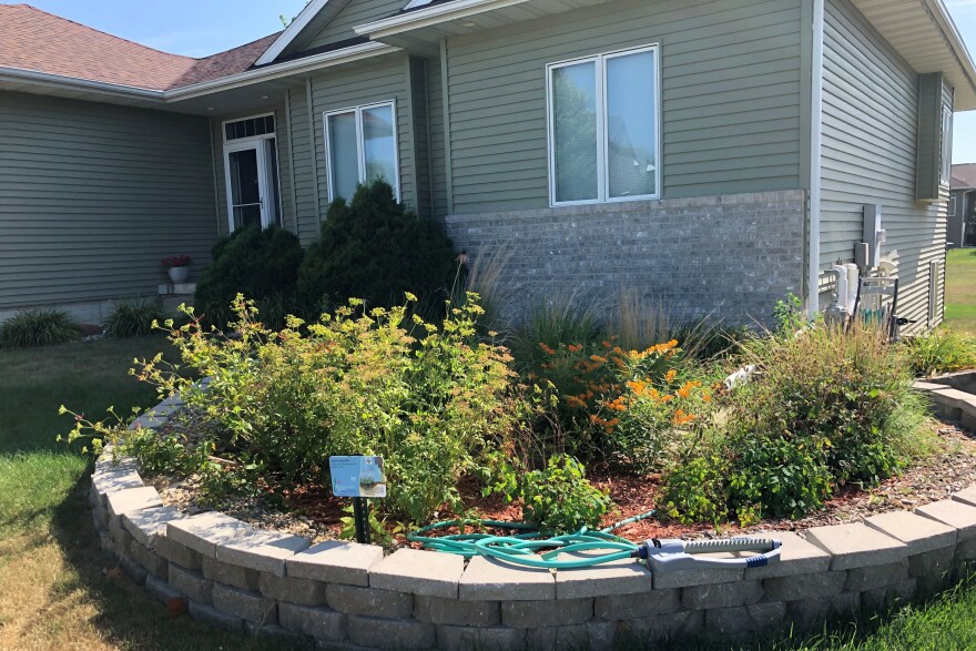 A circular garden bed sits at the edge of a green house. It is filled with tall grassy plants and orange flowering plants. A small sign at the front gives information about rain gardens.  