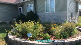 A circular garden bed sits at the edge of a green house. It is filled with tall grassy plants and orange flowering plants. A small sign at the front gives information about rain gardens.  