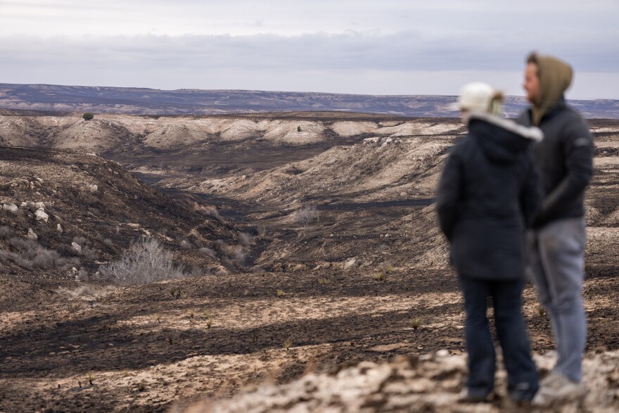 Landowners Abby Burkham-Breeding, left and her husband Austin Breeding, look over a portion of the 2,000 acres that was burned on their property by the Smokehouse Creek Fire on Thursday, Feb 29, 2024, in Roberts Country, Texas.