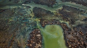 In Nigeria's oil-rich Niger Delta, oil bunkering — the practice of siphoning oil from pipelines — has transformed parts of the once-thriving delta ecosystem into an ecological dead zone, according to the U.N. Environment Programme.