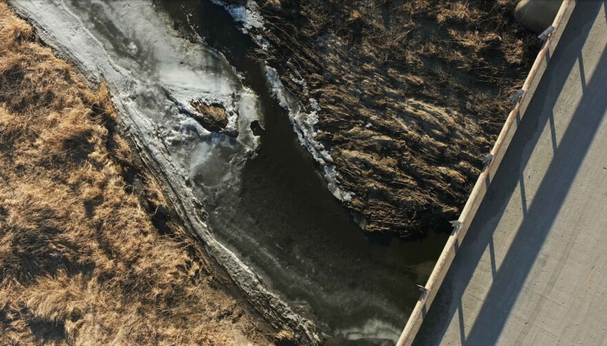 Drone photos taken of the confluence of Lizard Creek and Mud Creek after thousands of gallons of manure water leaked from a manure digester upstream.