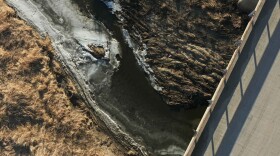 Drone photos taken of the confluence of Lizard Creek and Mud Creek after thousands of gallons of manure water leaked from a manure digester upstream.