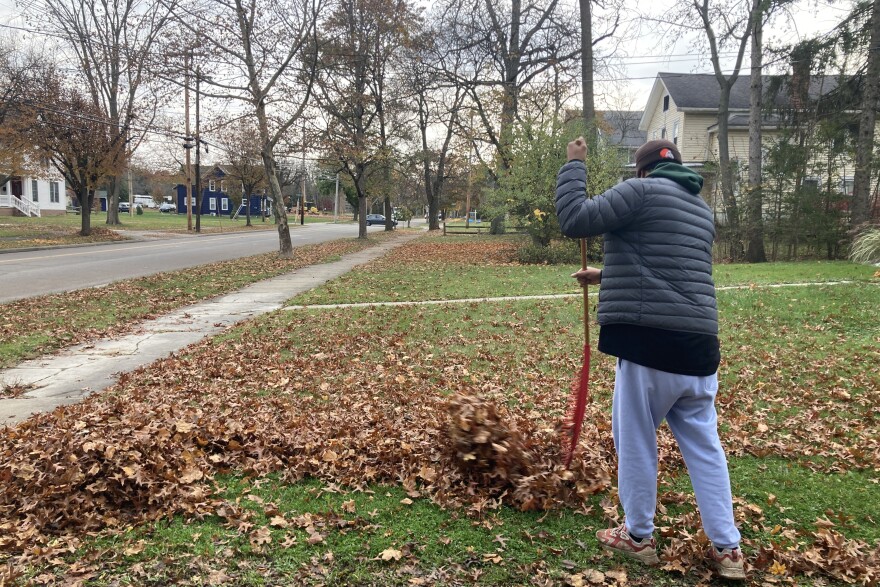 A person wearing a black puffy coat and gray sweat pants rakes a pile of brown leaves off a green lawn. The rake has red tines. In the background is a street lined with houses. 