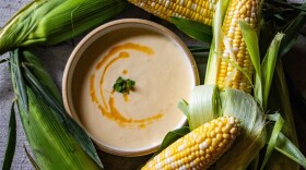 A bowl of light yellow soup, garnished with oil and herbs, surrounded by a circle of fresh corn cobs (both shucked and un-shucked)