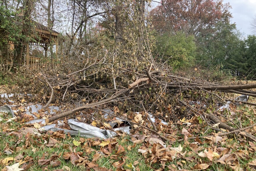 A pile of sticks, branches, and leaves rests atop a light grey tarp. The tops of green and red trees poke up in the background.