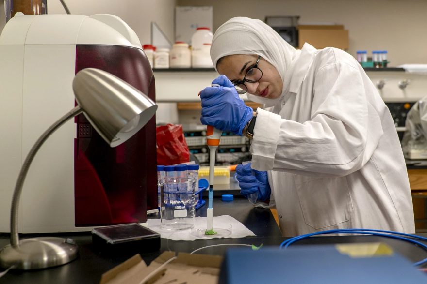 University of Missouri Ph.D. student Mai Abuhelwa demonstrates how one of the new sensors detects salmonella contamination. This sensor uses a laser and fiber optic cables to sense small concentrations of the bacteria.<br/> 