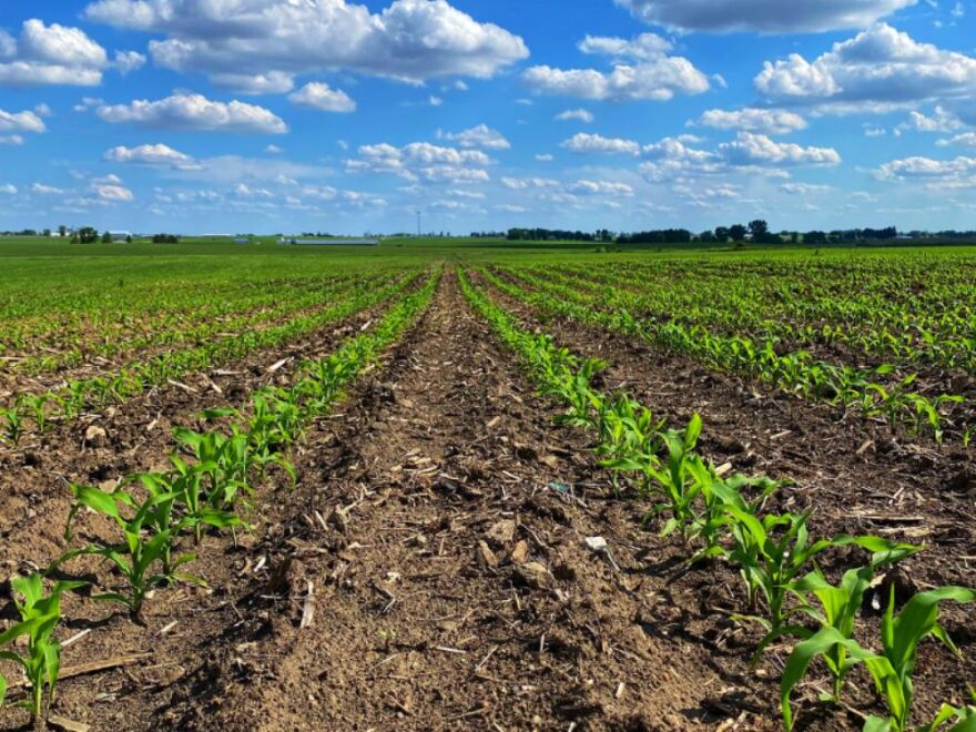 This field in northeast Iowa is among farmland sold at auction in July, sections of which sold for as much as $19,600 an acre. In Iowa and other states across the Midwest farmland prices are up significantly.