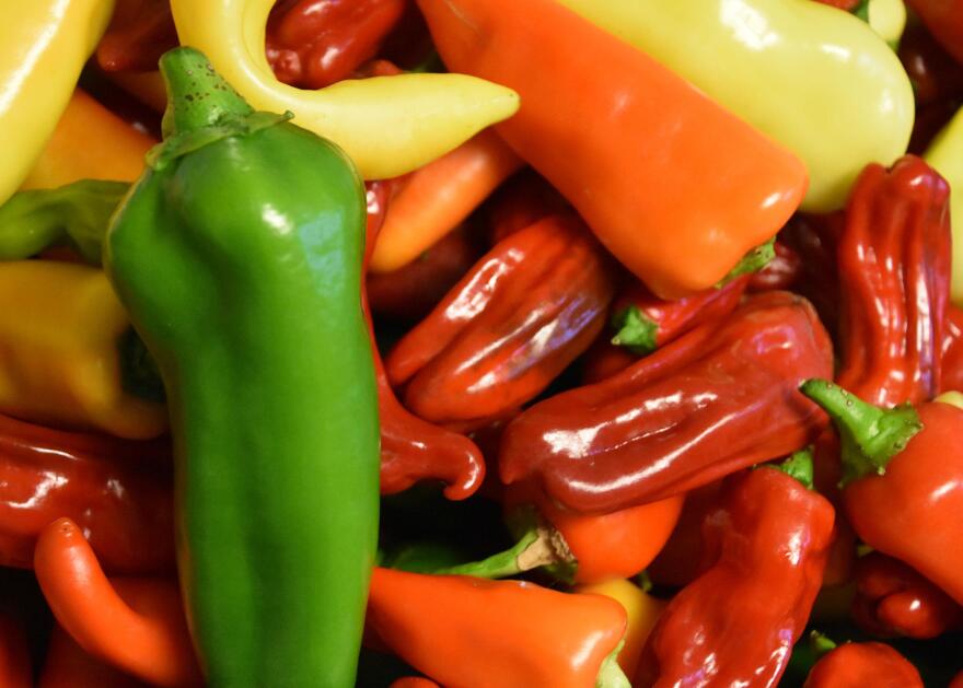 Several varieties of peppers in green, yellow, orange and red