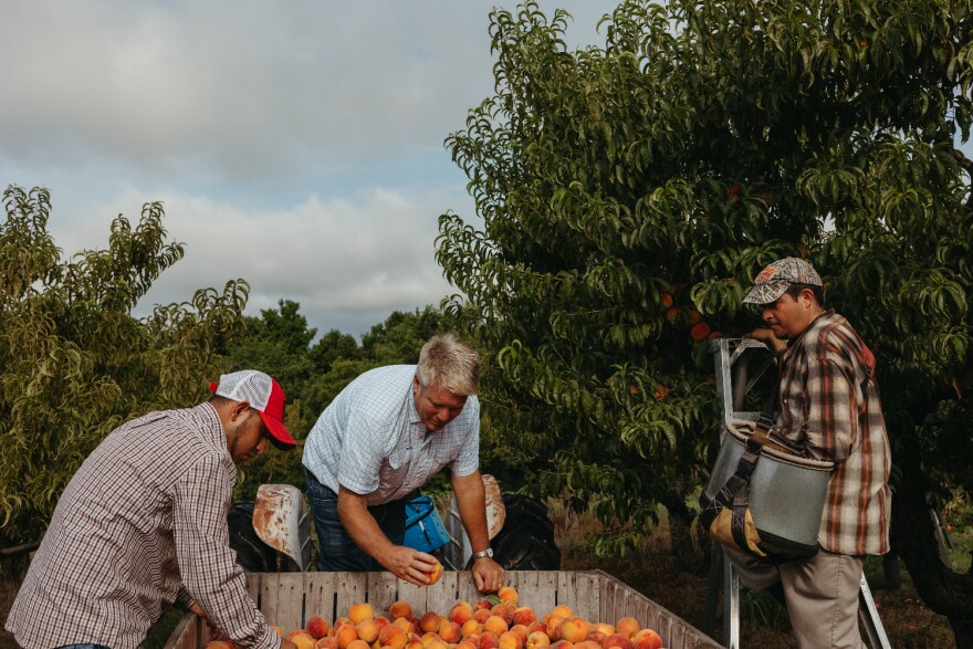 Rendleman Orchards in Alto Pass, Illinois, is one of more than a dozen farms in Illinois taking part in the Farm to Food Bank program, Owner and manager Wayne Sirles (middle) said the program helps keep food that's slightly bruised or blemished from going to waste.<br/>