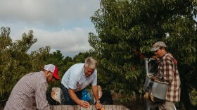 Rendleman Orchards in Alto Pass, Illinois, is one of more than a dozen farms in Illinois taking part in the Farm to Food Bank program, Owner and manager Wayne Sirles (middle) said the program helps keep food that's slightly bruised or blemished from going to waste.<br/>