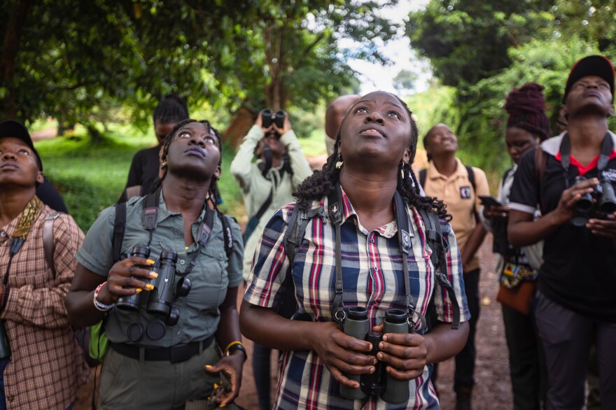 Judith Mirembe (in the plaid shirt) leads a bird-watching excursion on Nov. 19, 2023 in the Entebbe Botanical Gardens, on the shores of Lake Victoria in Uganda.