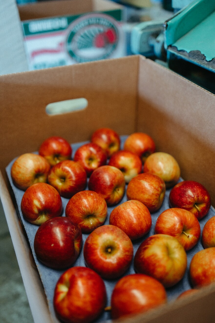  Apples from Rendleman Orchards in far southern Illinois. It's one of several farms taking part in the Farm to Food Bank program in Illinois.