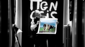 Aubrey Powell holds up a photograph of the Pink Floyd album cover Atom Heart Mother, which features a cow standing in a field of green grass. 