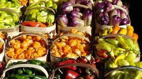 Several varieties of peppers in different colors sitting in baskets