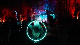 After dark at the Lost Woods Festival, where musicians, photographers, and hoopers do their best work.