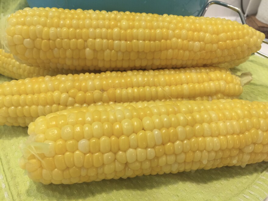 Four ears of ripe sweet corn sitting on a table