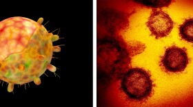 (Left) A computer-generated image of the omicron variant of the coronavirus.(Right) SARS-CoV-2 is shown in this colorized transmission electron micrograph.