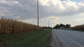 cornfield next to a road