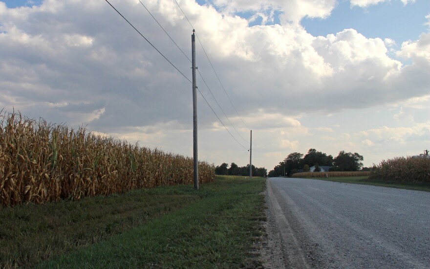 cornfield next to a road