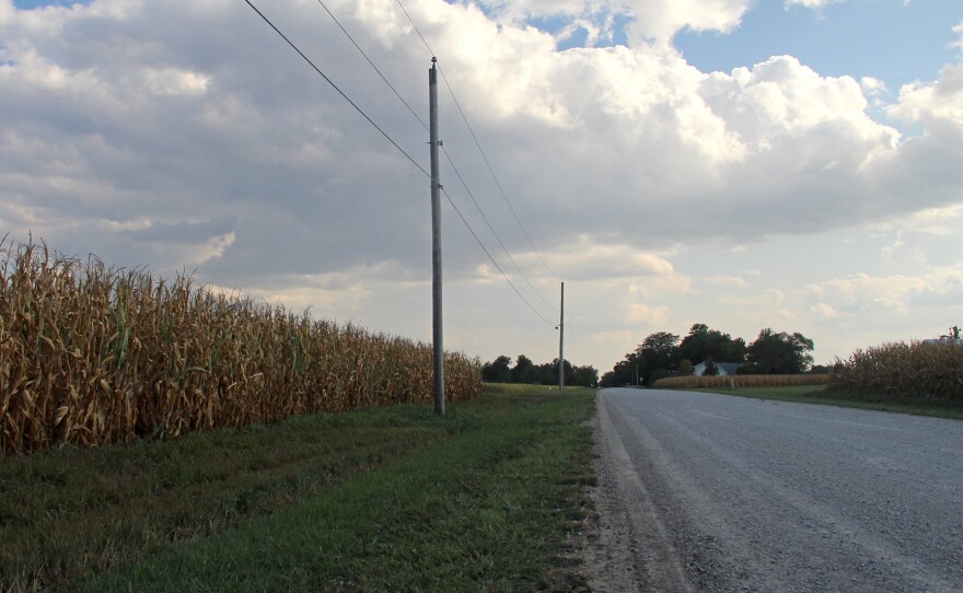 cornfield next to a road