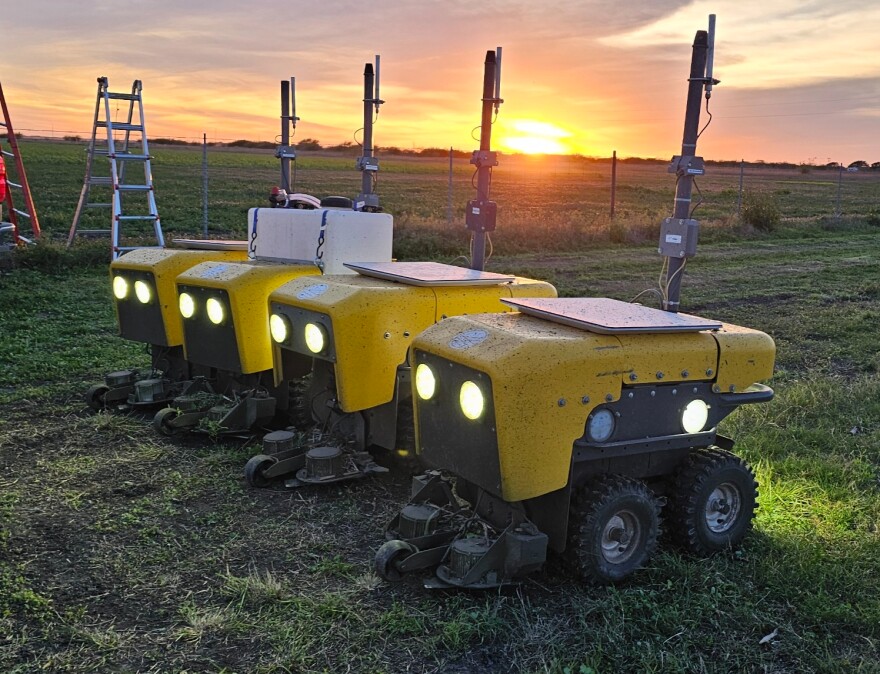 GreenField robots at sunset.