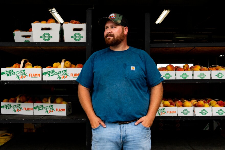 Austin Flamm, farm manager at Flamm Orchards, at the farm’s store in Cobden, Illinois. Flamm is a 6th generation of his family to grow fresh fruit to Midwestern markets and chain grocery stores.<br/>