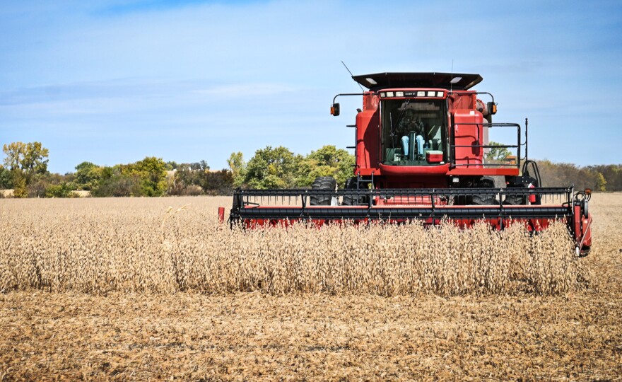  A farmer in northwest Missouri runs a combine through a field of soybeans in November 2022.