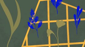 Abstract graphic with plants and a grid structure representing a seed tray. 