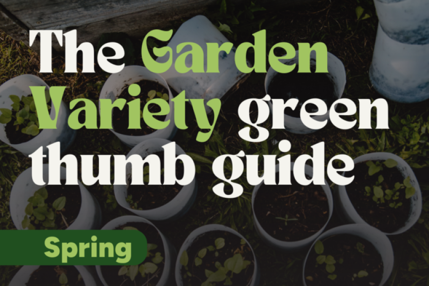 text that says: The Garden Variety green thumb guide, spring