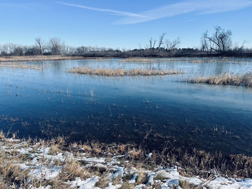 Picture of semi-frozen shallow lake with a little bit of snow on the edges with prairie grass poking through.