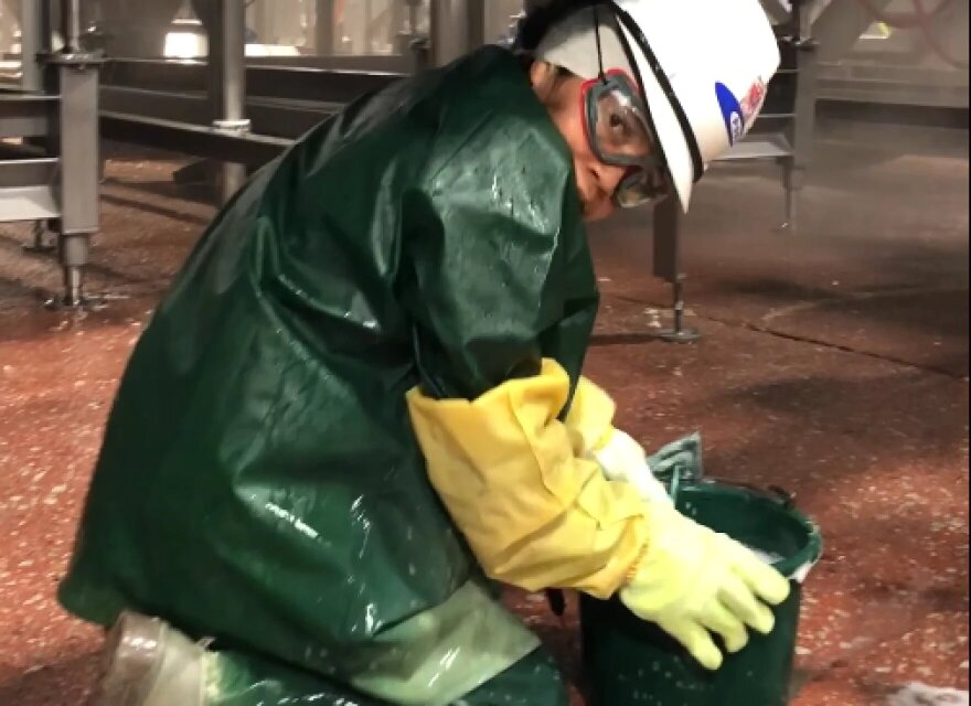 A child worker at a ground beef floor at a JBS USA meat processing facility in protective rubber clothing, a hard hat and goggles kneeling on the floor with a bucket. 