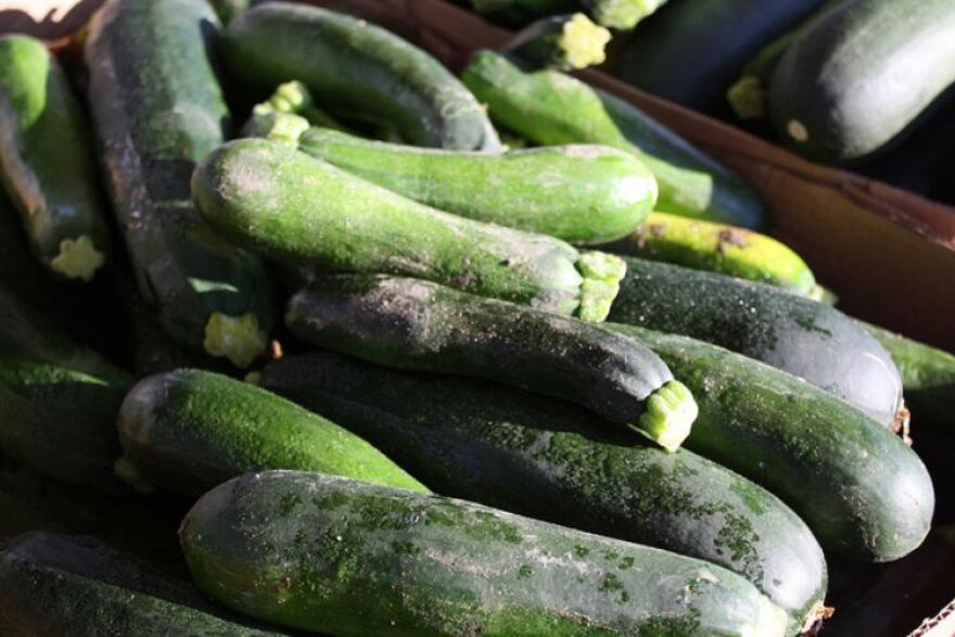 Several green zucchini 