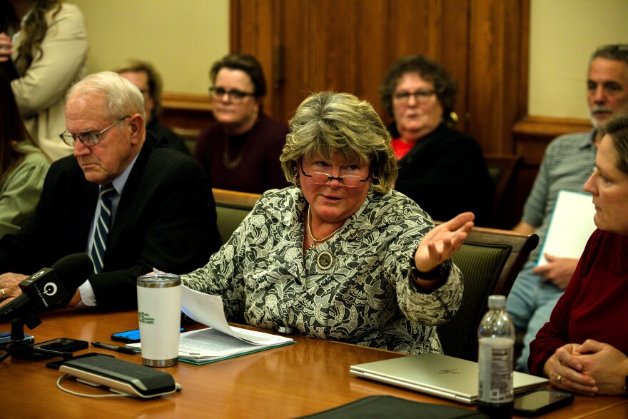 Sen. Molly Donahue, D-Cedar Rapids, speaks against the governor’s proposal in a Senate subcommittee.